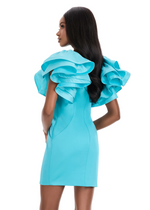This cocktail dress features dramatic ruffled sleeves and a sleek silhouette. Crafted from luxurious crepe and taffeta, this dress could be ideal for your next homecoming or formal event.

Ashley Lauren 4841