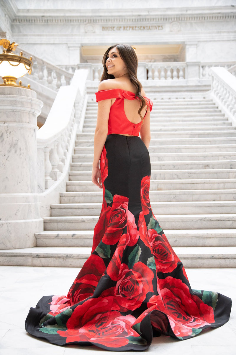 Part two rosa dress hotsell